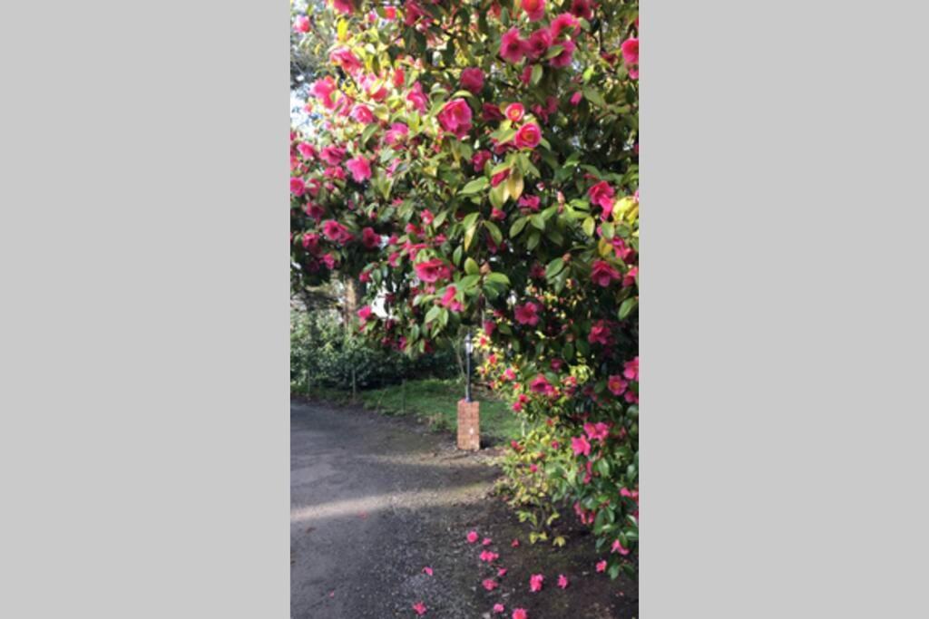 Holiday home Self Catering - Gardeners Cottage *