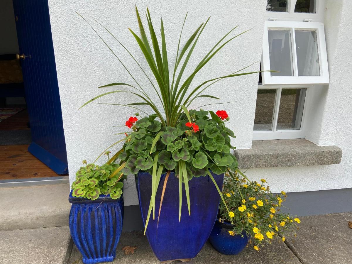 Rathjarney Gatelodge Holiday home Wexford