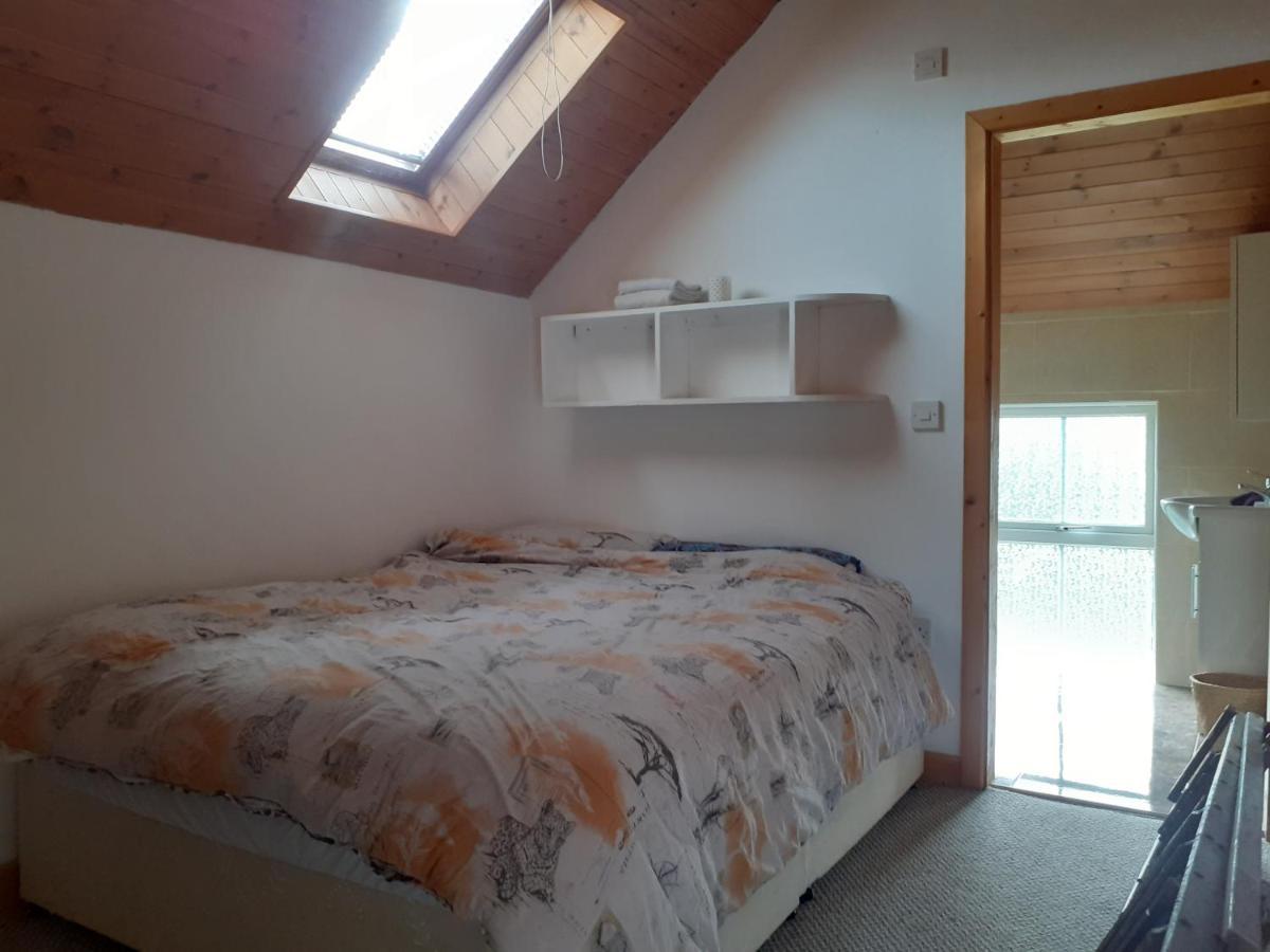 Abiento * Wexford