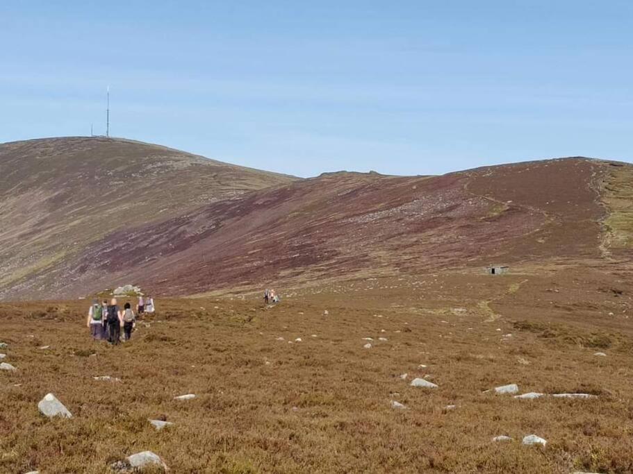 Mountain Paradise In Bunclody,