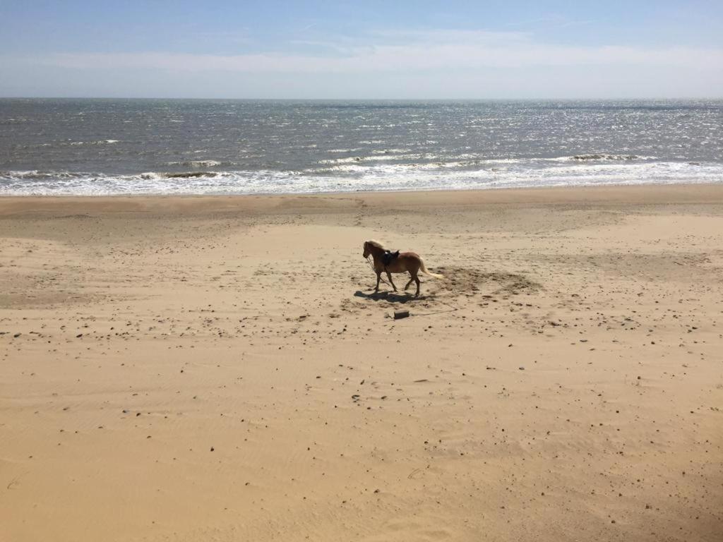 Lovely Seaside * Wexford