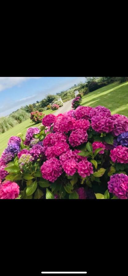 Holiday home Clonmines Wexford