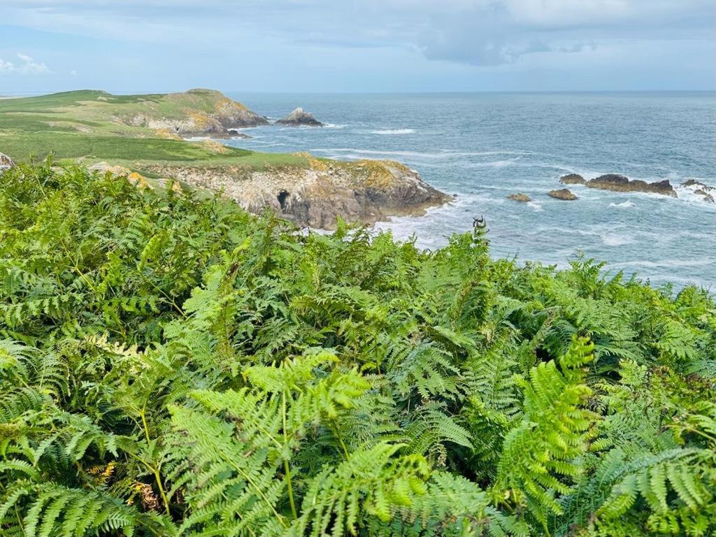 Bed & Breakfast Quay House *