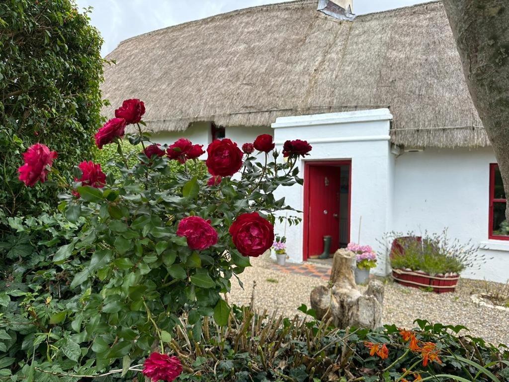 Quay House *