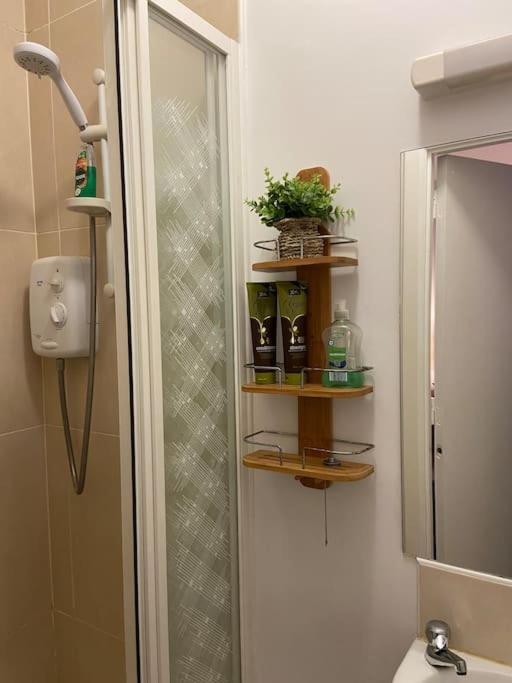 Vera's Penthouse Apartment *