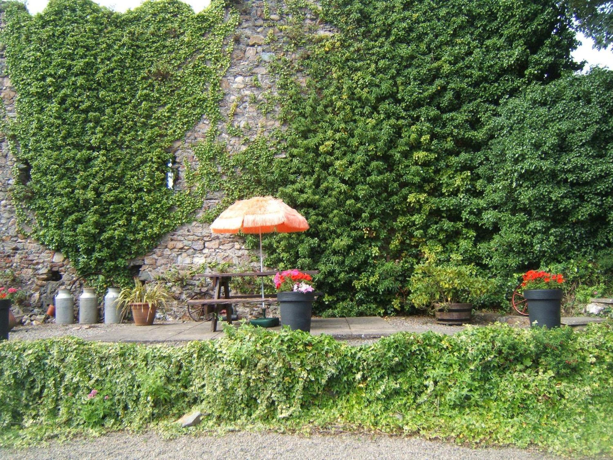 Guest house Faythe Wexford