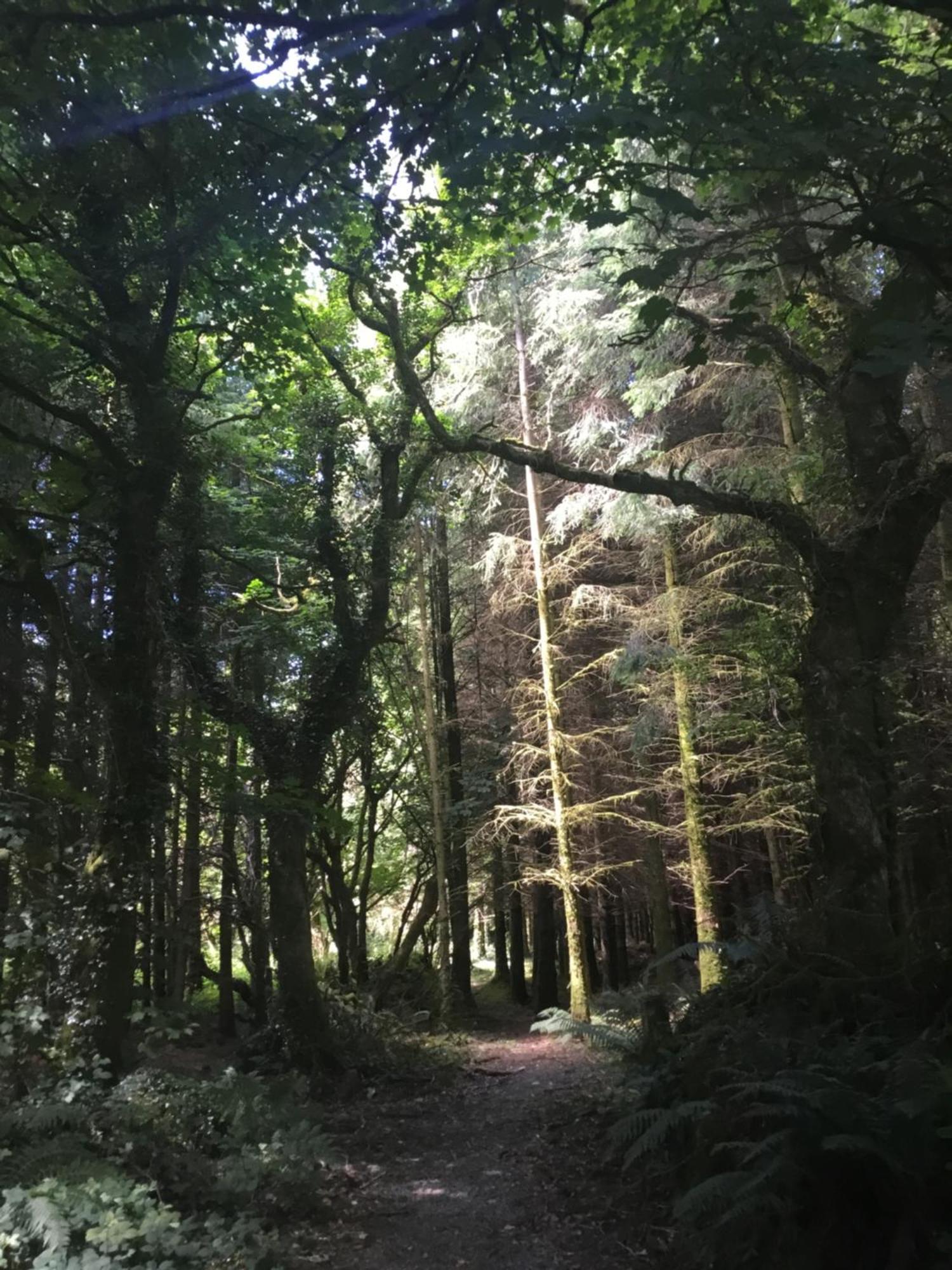 Alderlane Holiday home Wexford