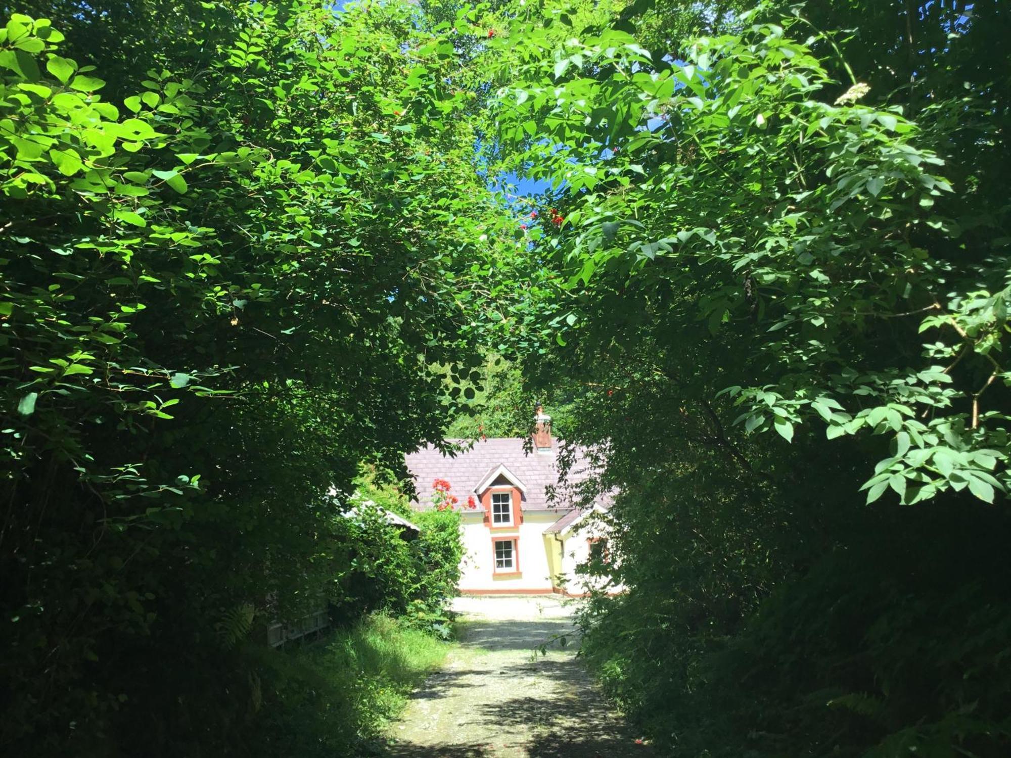 Holiday home Alderlane