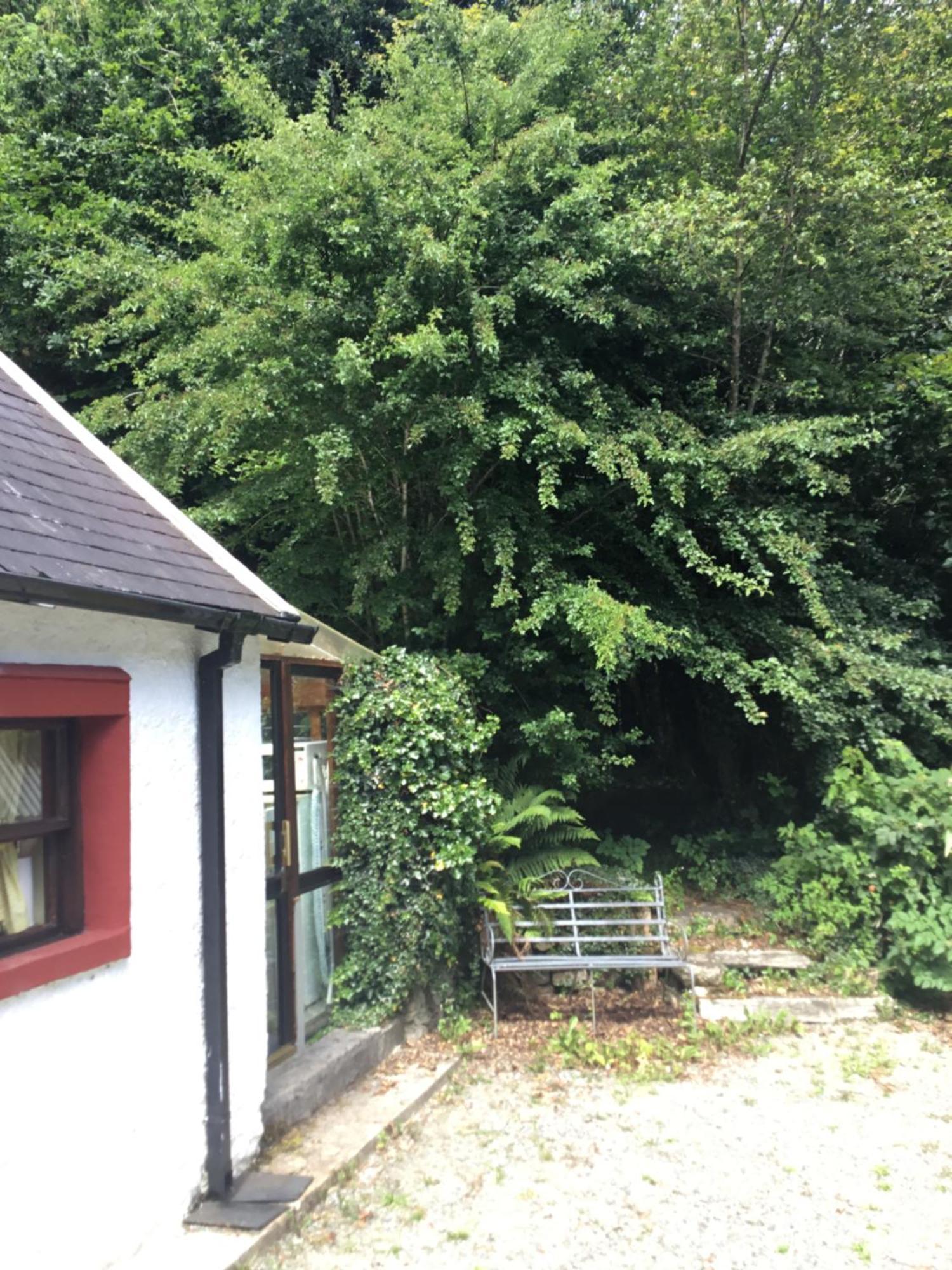 Traditional 18th Century Converted Stables * Wexford