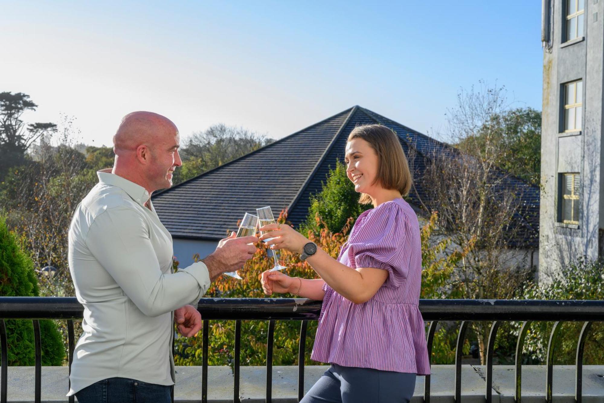 Newtown Park Hotel Wexford