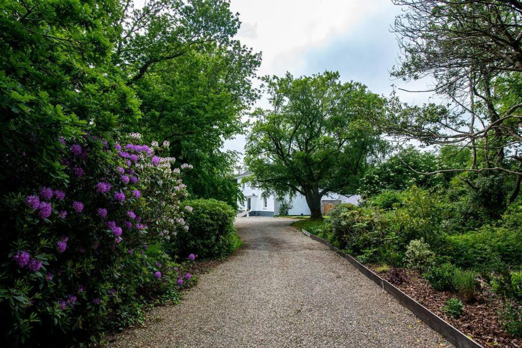 The Oak Studio-kilpatrick Glebe, Pet Friendly Wexford