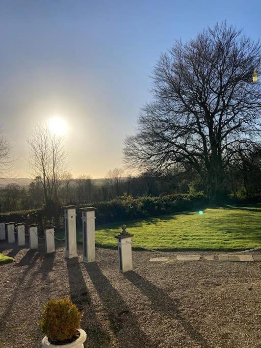 The Oak Studio-kilpatrick Glebe, Pet Friendly