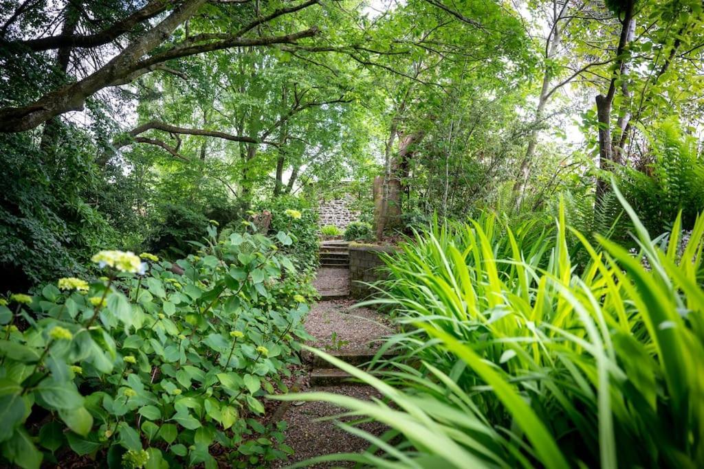 Apartment The Oak Studio-kilpatrick Glebe, Pet Friendly