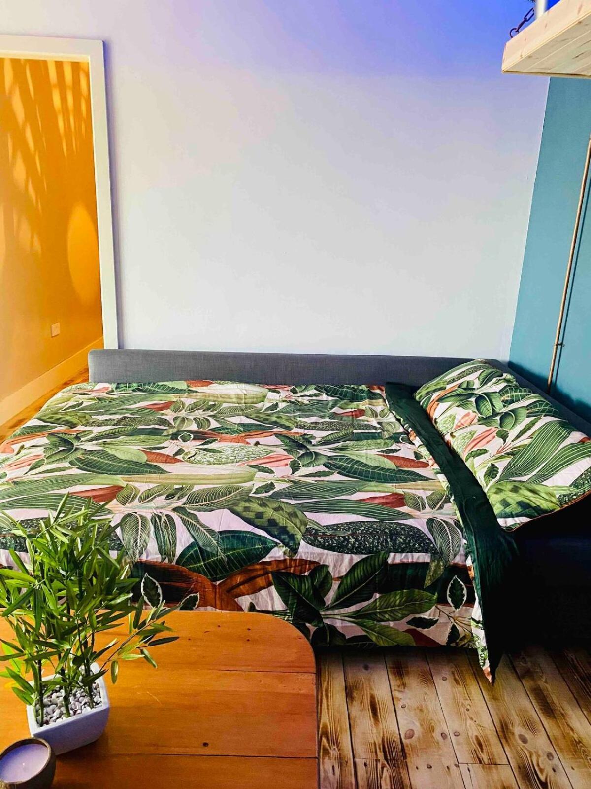 Apartment The Cosy Castaway